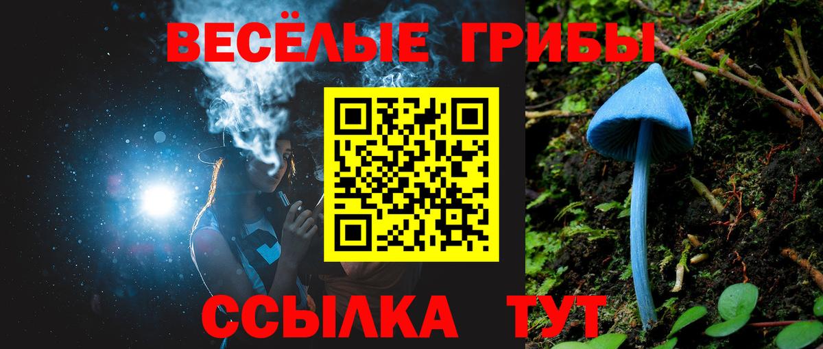 Великие Луки  Галлюциногенные грибы MAGIC MUSHROOMS  Вход с VPN 